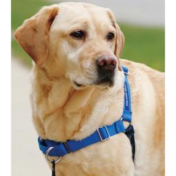 Petsafe Easy Walk Deluxe Sele Walk Nicely On Leash Black Blue